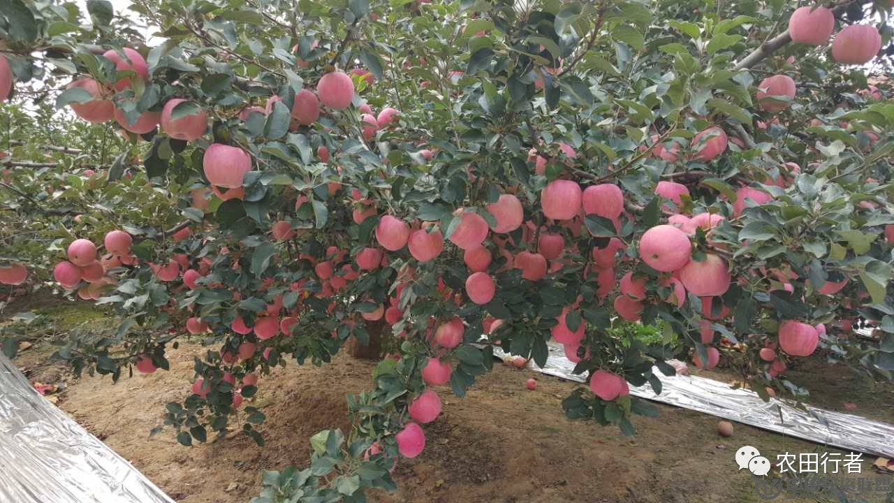 �䌍�㲻֪�������䠀����80%���@Щԭ����ɵ���